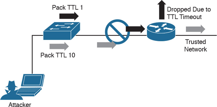 A figure depicts a sample of TTL (Time-To-Live) Manipulation attack.