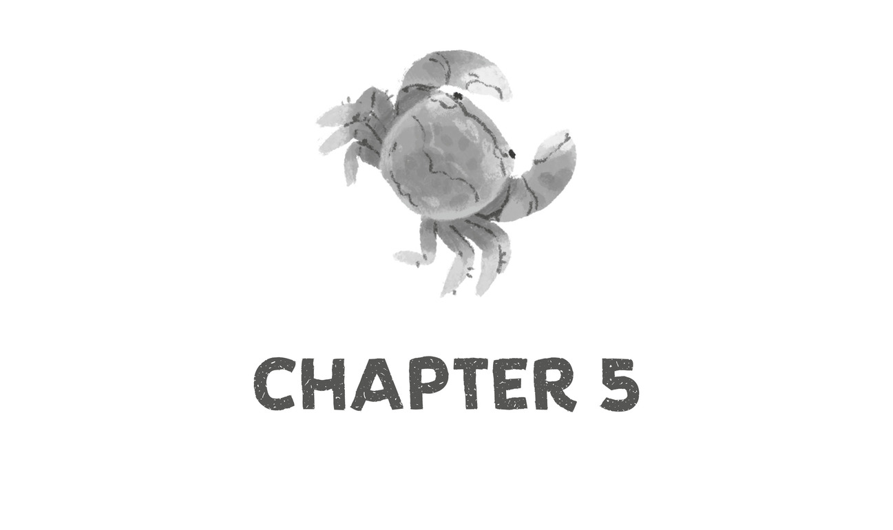 Chapter 5