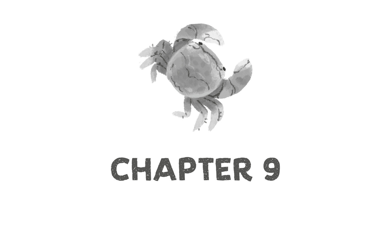 Chapter 9