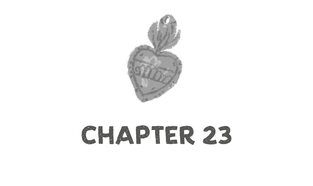 Chapter 23