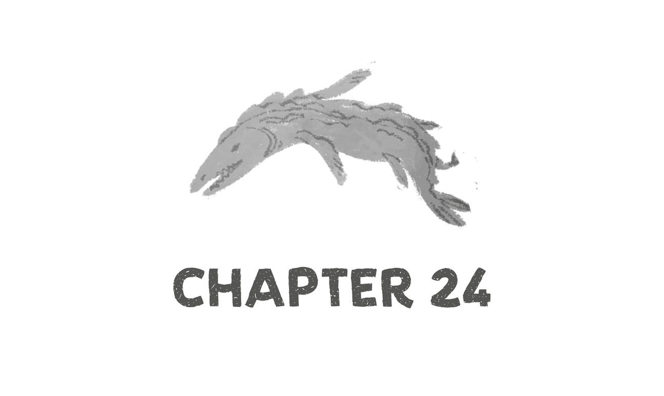 Chapter 24