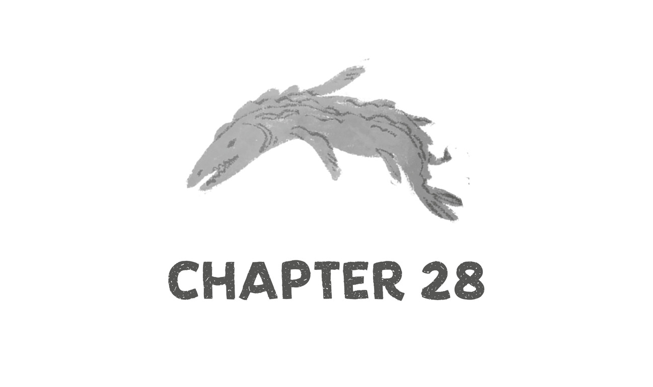 Chapter 28