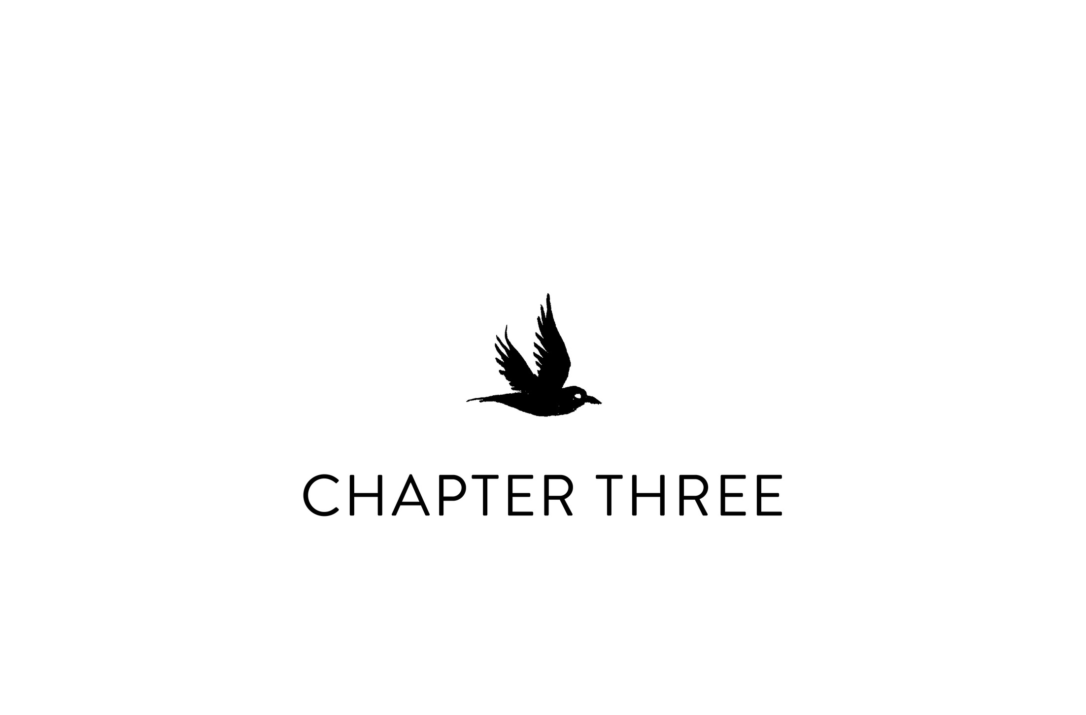 Chapter Three