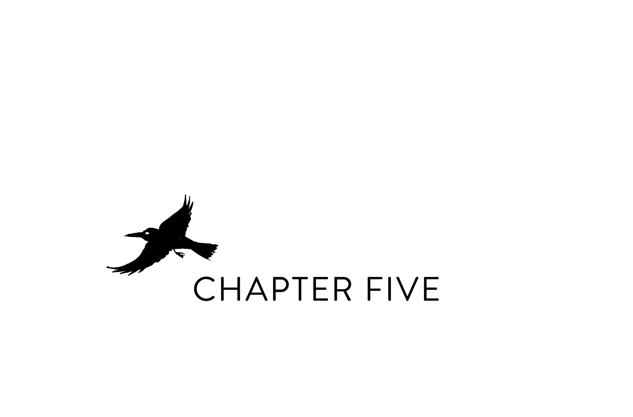 Chapter Five