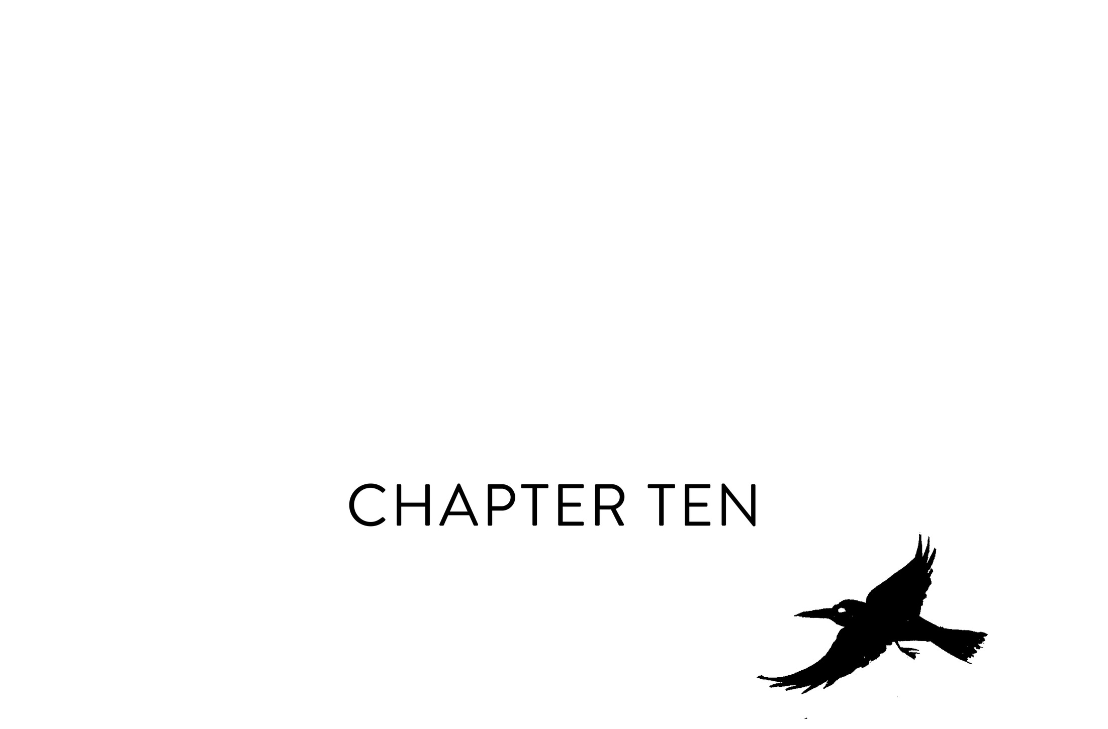 Chapter Ten