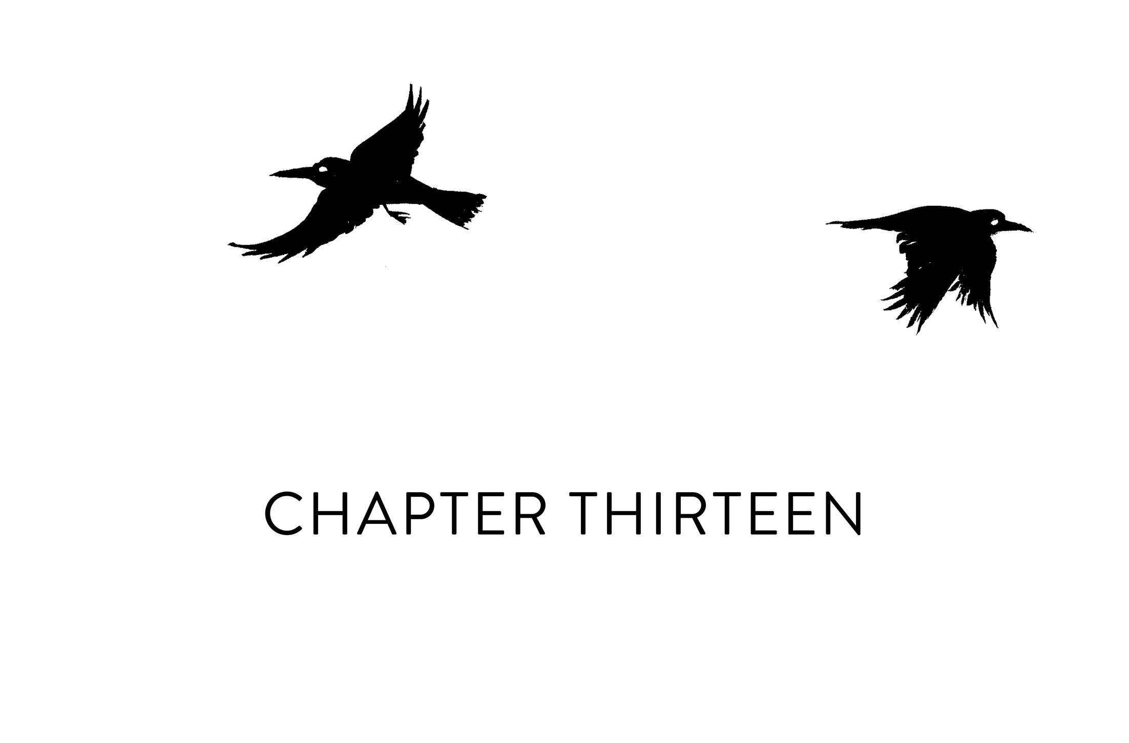 Chapter Thirteen