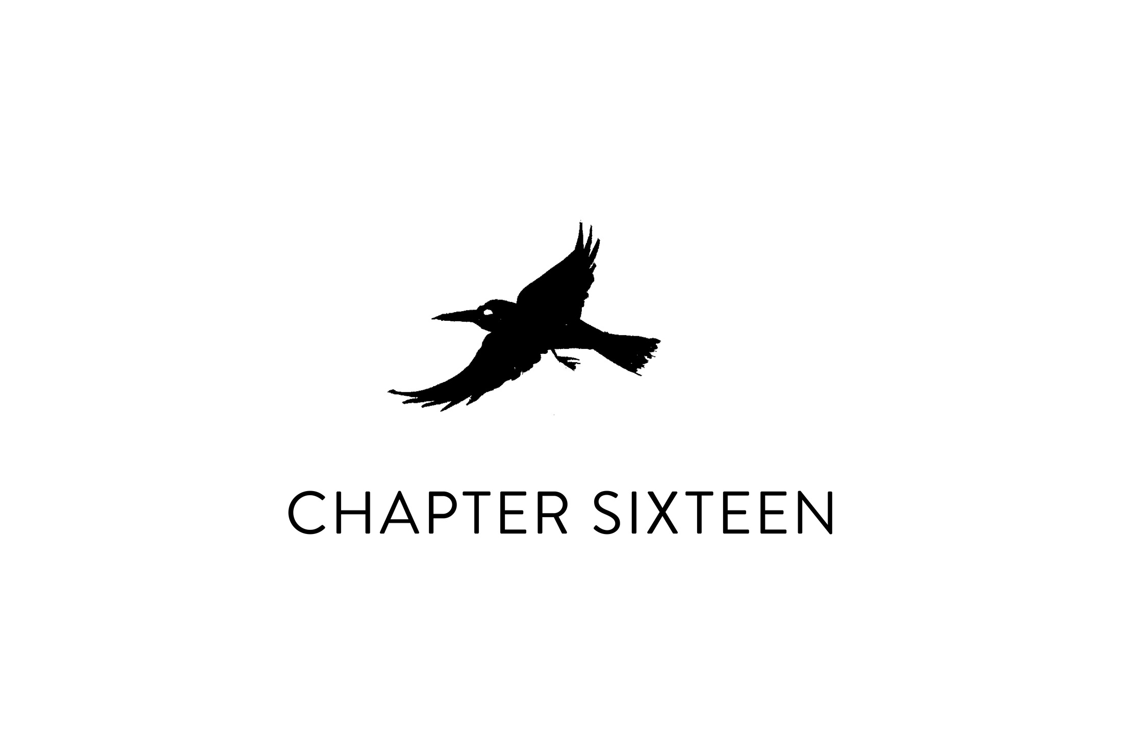 Chapter Sixteen