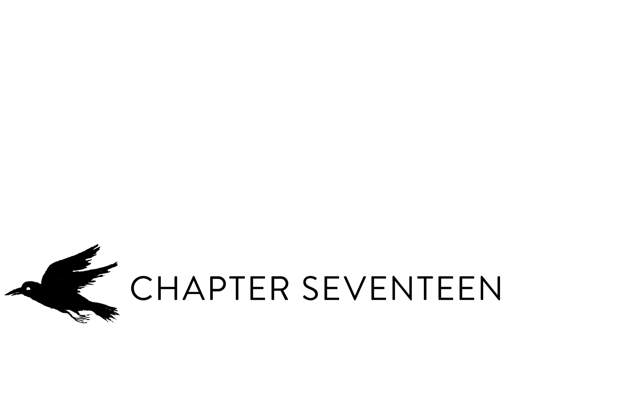 Chapter Seventeen