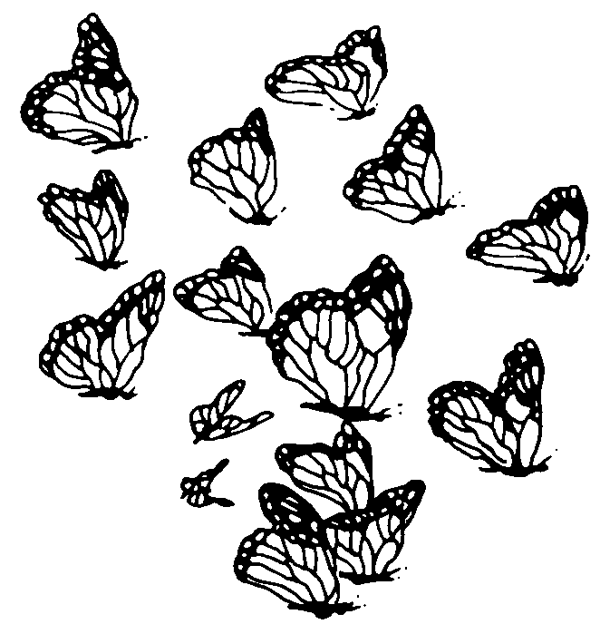 butterflies