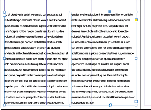 A screenshot of a text frame has text entered in two columns, two vertical lines in the center, and handles around the frame. Two vertical lines before and after the centerlines are displayed.