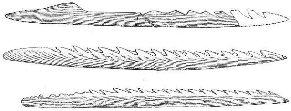 Fig. 9.