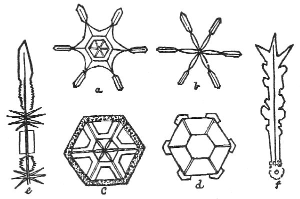 Fig. 12.