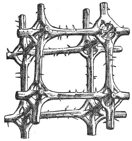 Fig. 19.