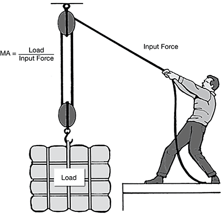 PT1Science_29