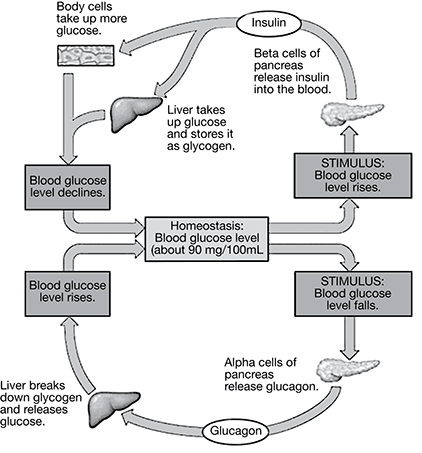 PT1Science_35