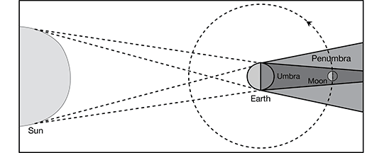 PT1Science_4