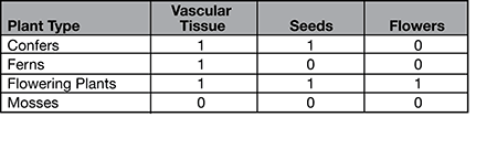 PT1Science_5.1