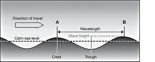 PT1Science_9