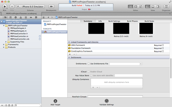 images/src/tweetings/xcode4-project-target-summary.png