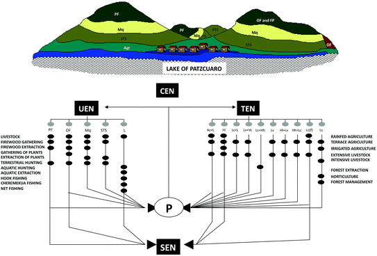 A318773_1_En_5_Fig2_HTML.gif