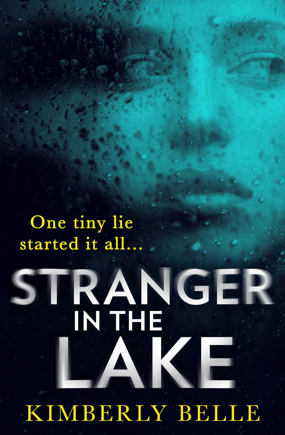 Cover Image: Stranger in the Lake by Kimberly Belle