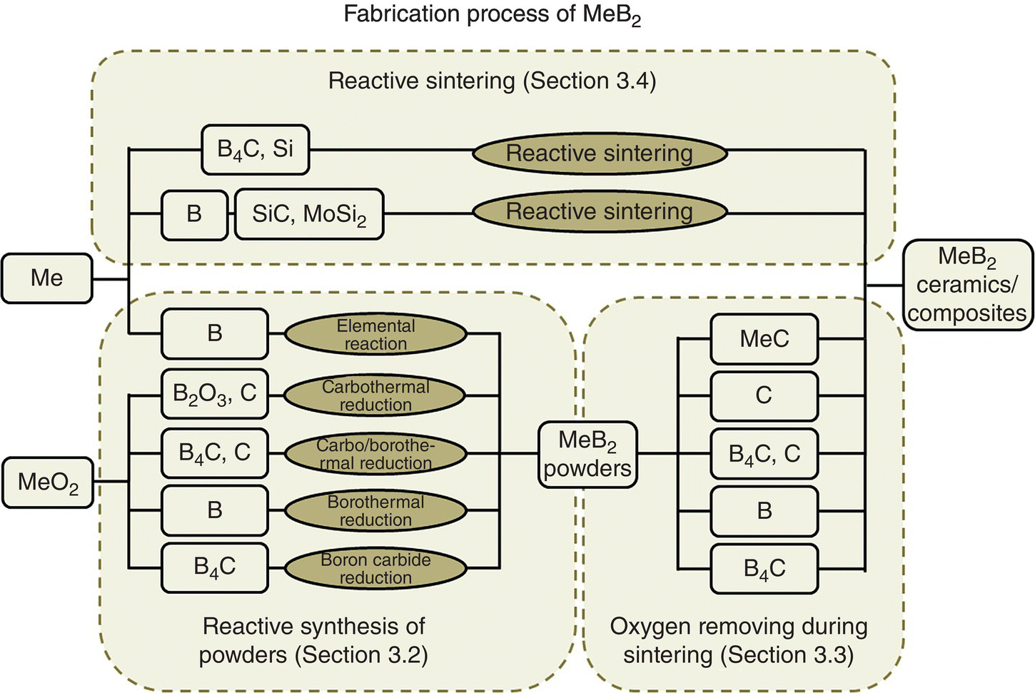 c3-fig-0002