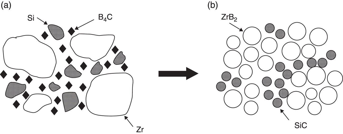 c3-fig-0009