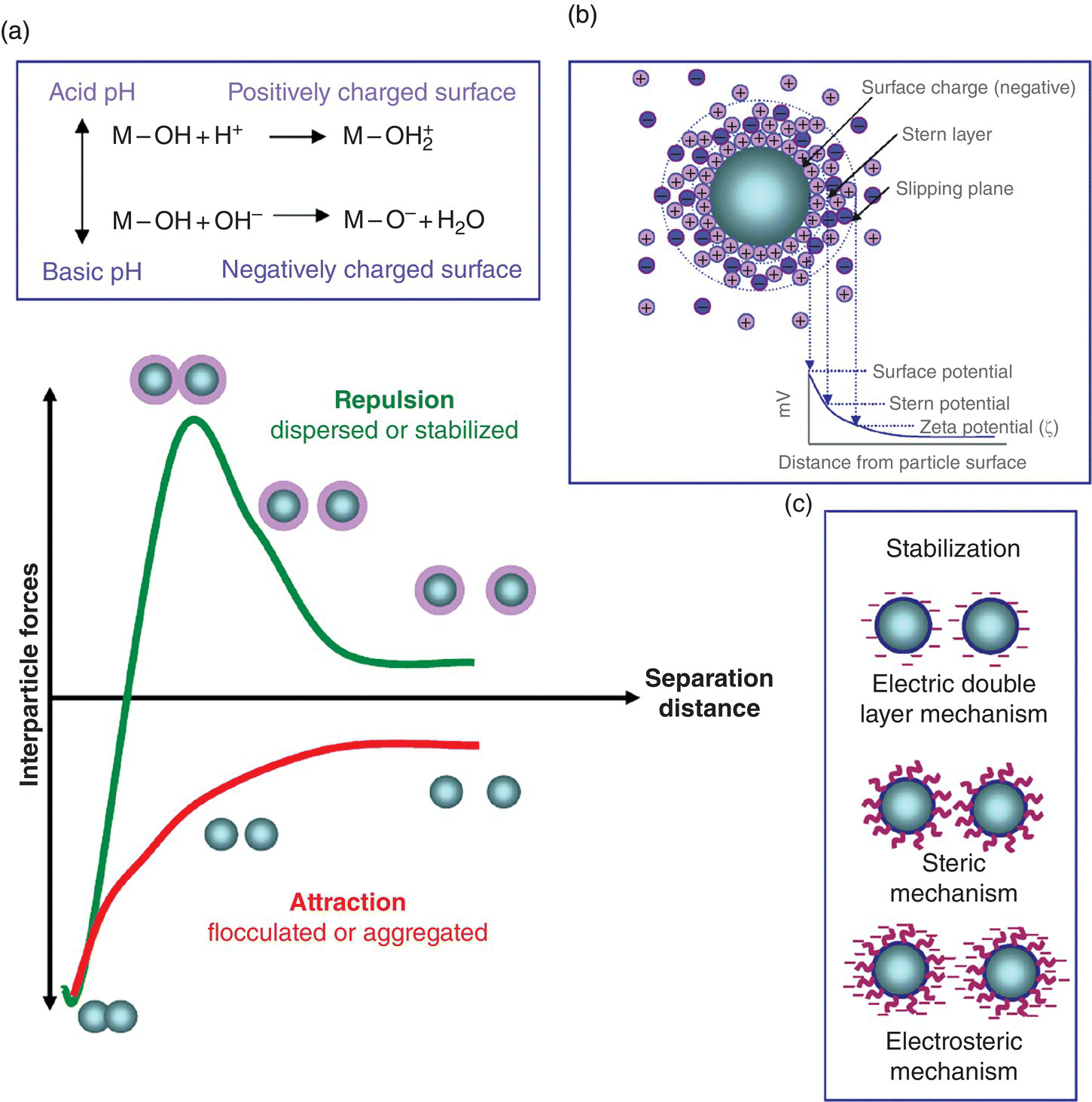 c5-fig-0001