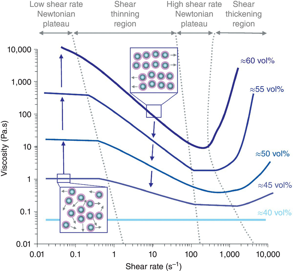 c5-fig-0002