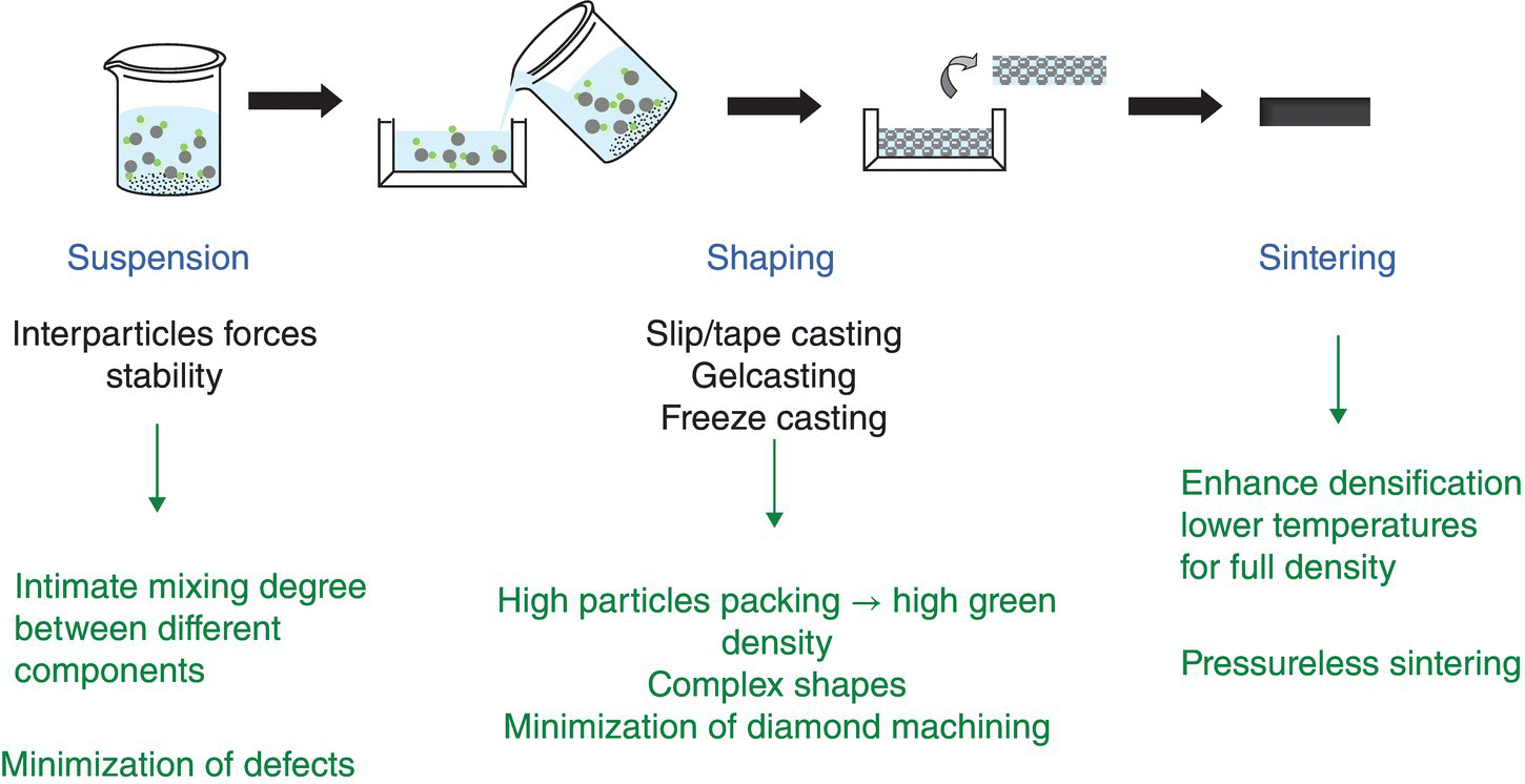 c5-fig-0006