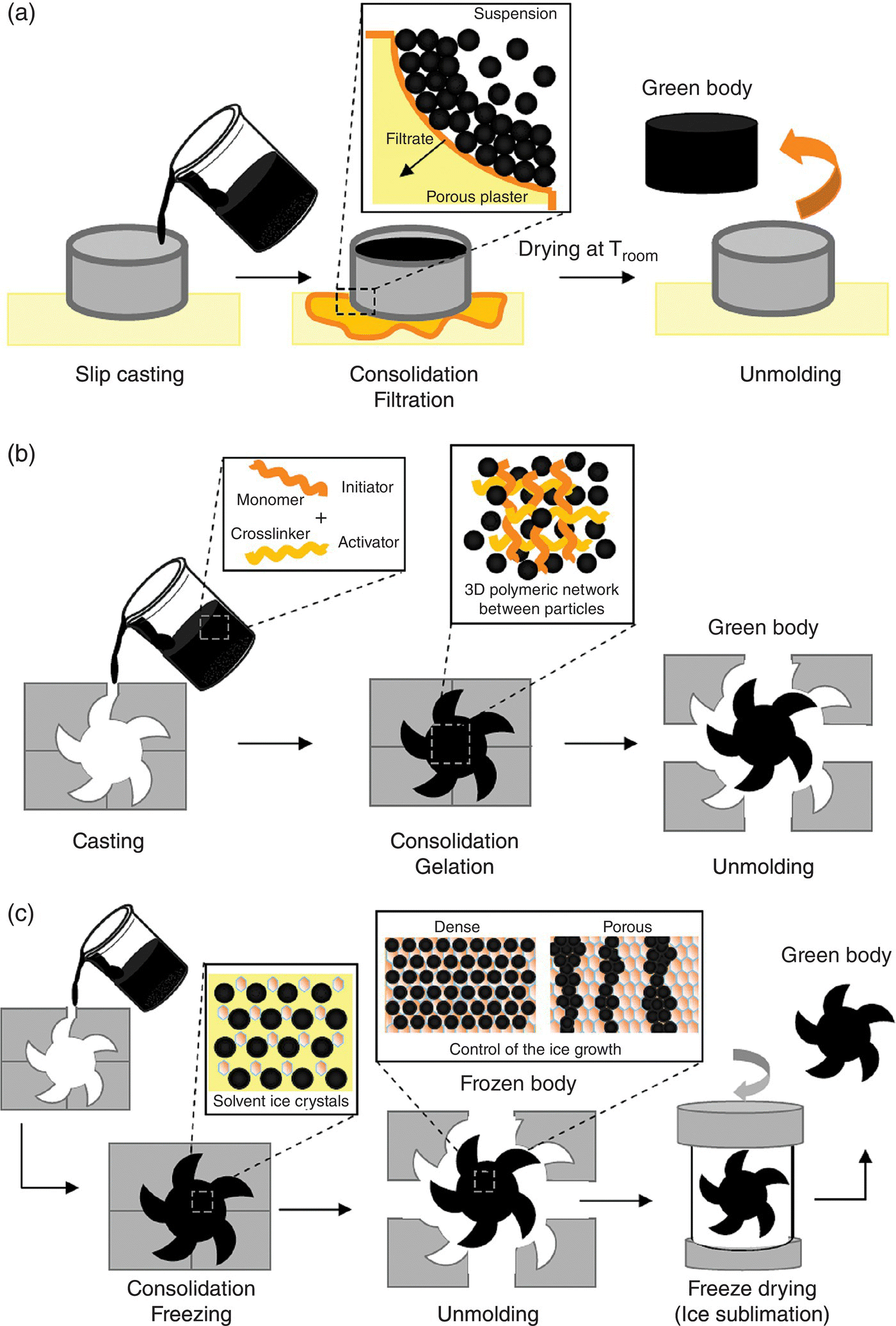 c5-fig-0007