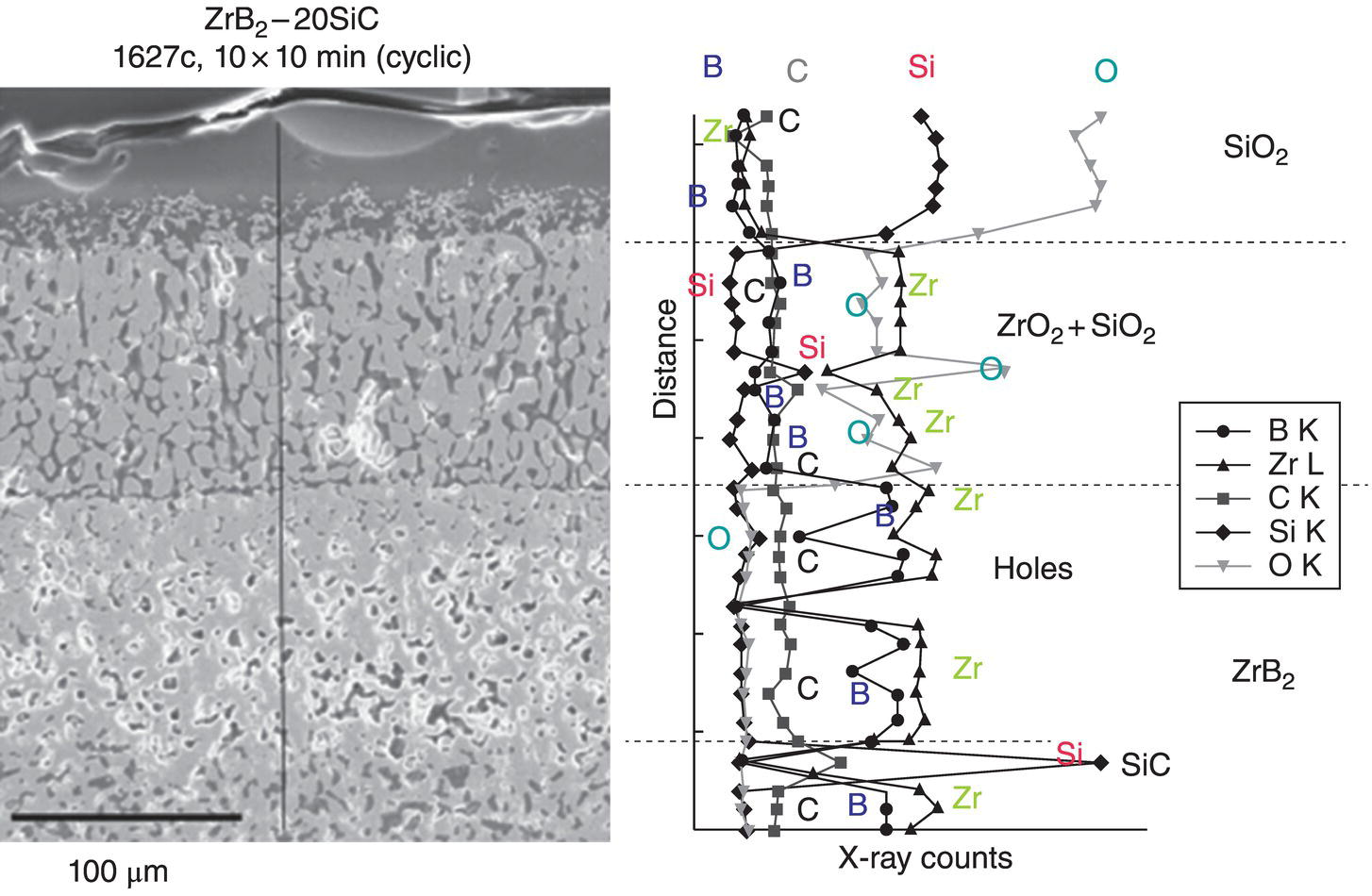 c11-fig-0006