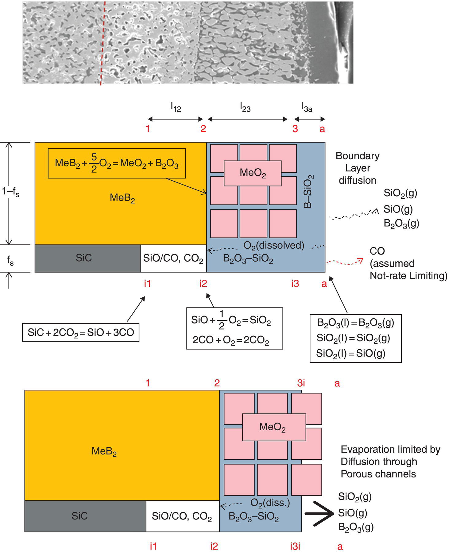 c11-fig-0008