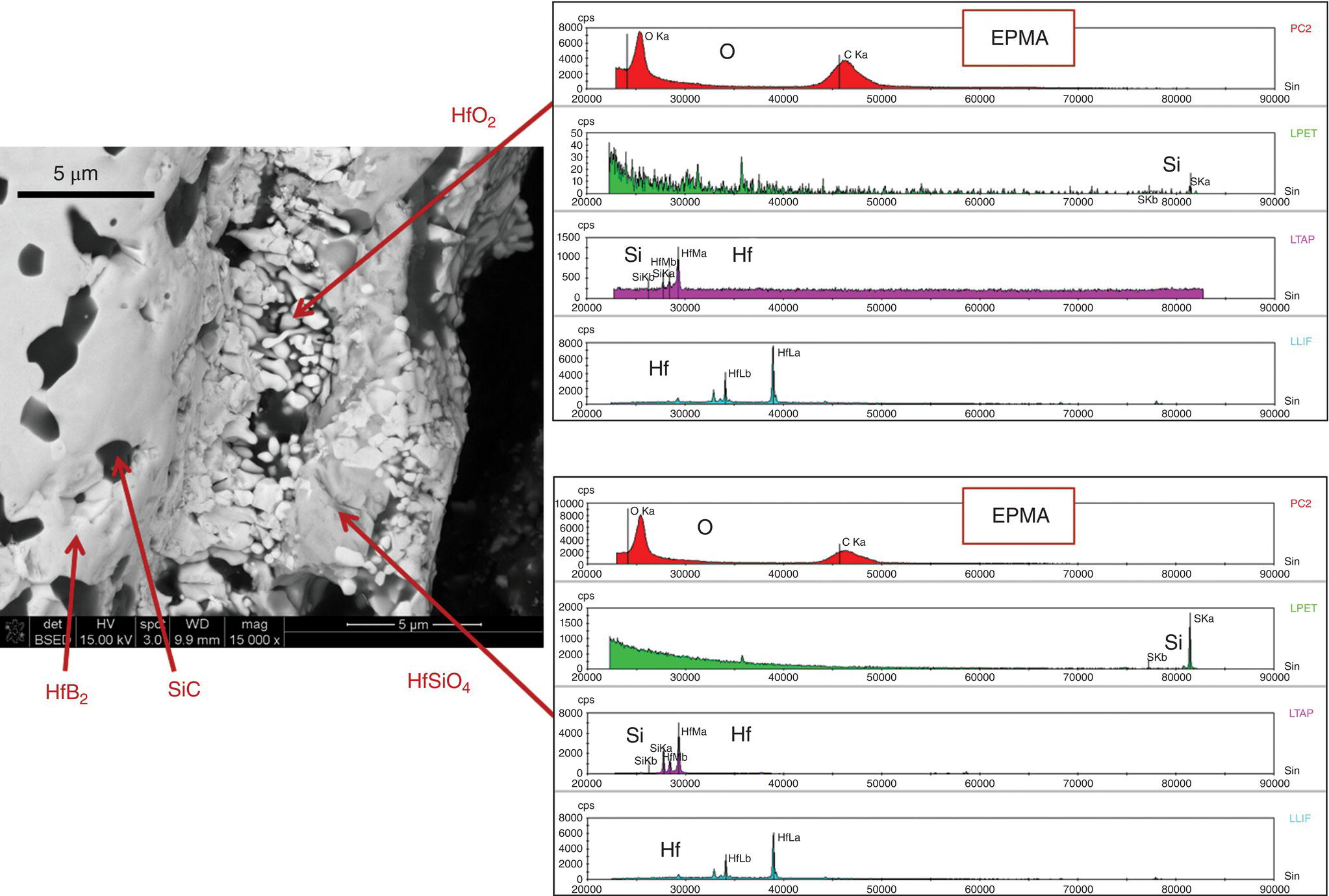 c11-fig-0011