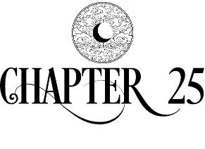 Chapter Twenty-Five