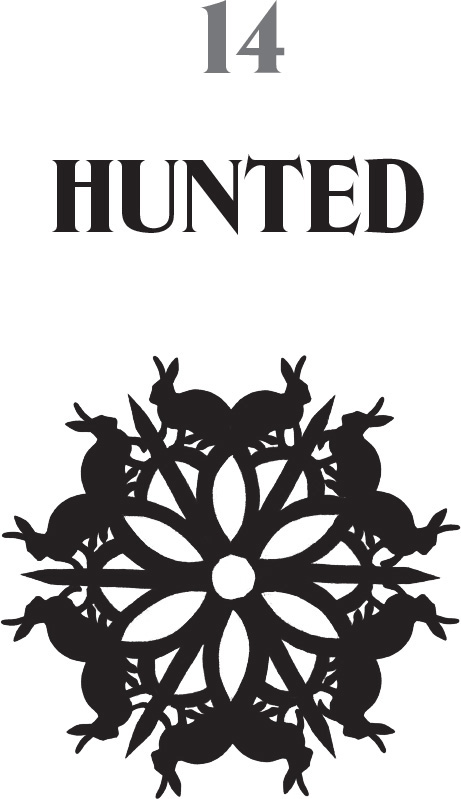 14: Hunted