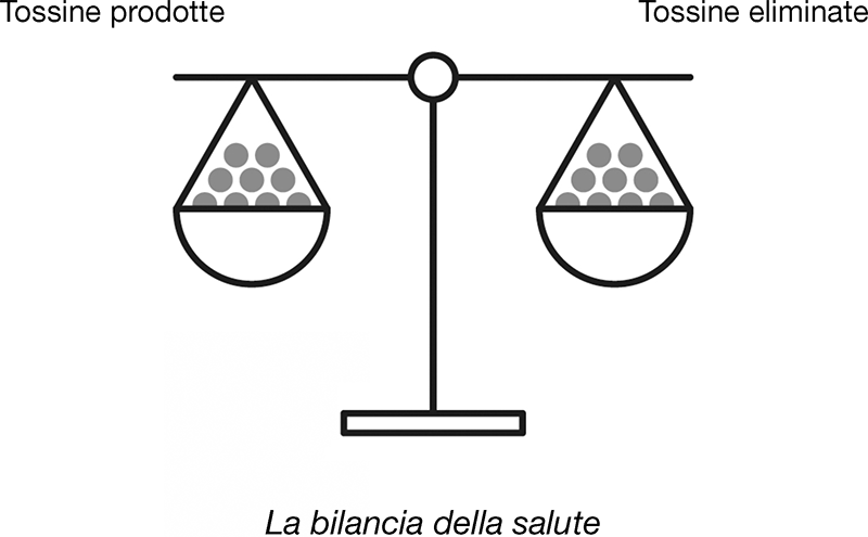 Tossine prodotte La bilancia della salute Tossine eliminate