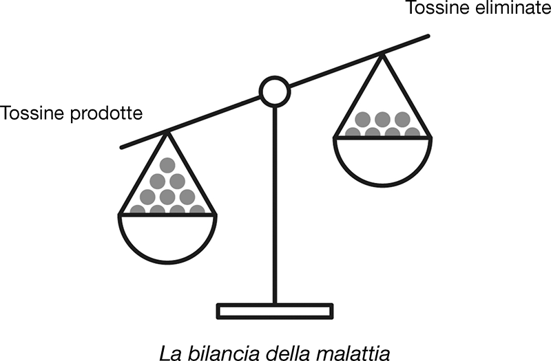 Tossine prodotte La bilancia della malattia Tossine eliminate