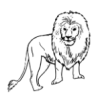 C:\Users\Carol\AppData\Local\Microsoft\Windows\Temporary Internet Files\Content.IE5\ST3F6DN2\lion[1].png