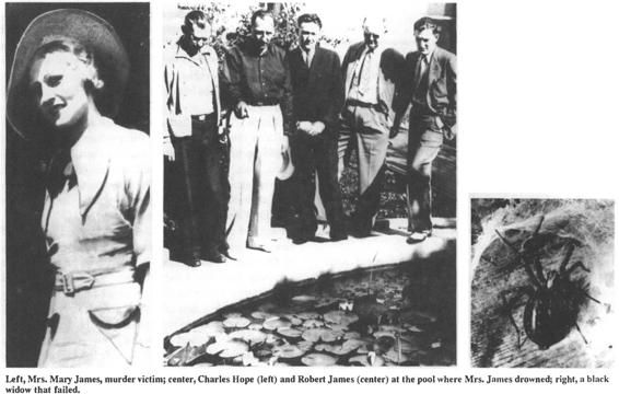 Left, Mrs. Mary James, murder victim; center, Charles Hope (left) and Robert James (center) at the pool where Mrs. James drowned; right, a black widow that failed.