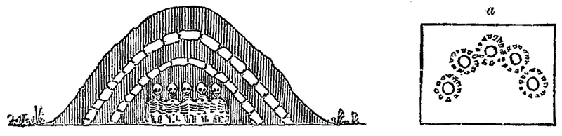 Fig. 7.—Section of burial mound, Davenport, Iowa. [From the Proceedings of the Davenport Academy of Sciences.]