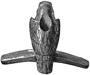 Fig. 14.—Pipe from Illinois mound, ½. (After Smithsonian Report.)