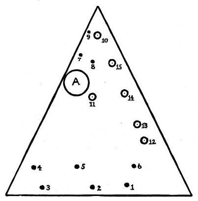 Fig. 26.—Burials in the T. F. Nelson triangle, Caldwell County, North Carolina.