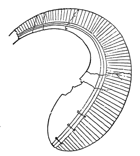 Fig. 45.—Copper badge, from Etowah mound, Georgia.