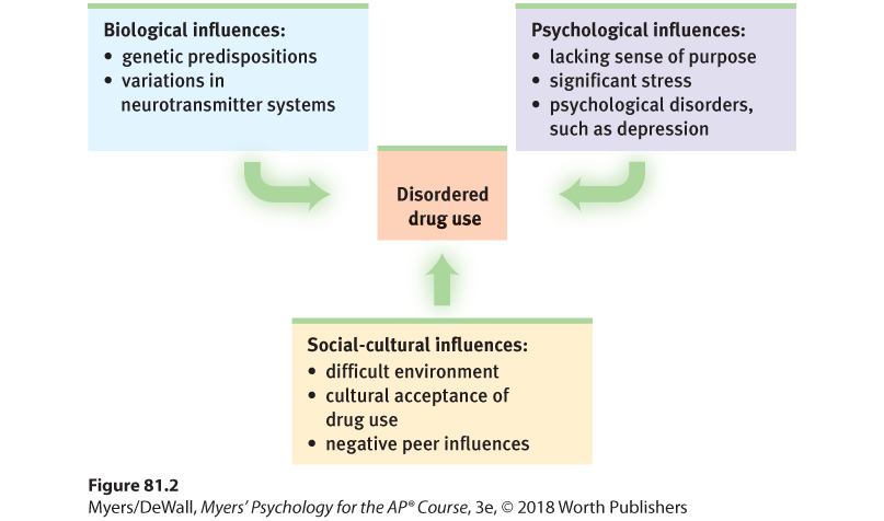 Flowchart describing the levels of anaylsis for disordered drug use. It shows the biopsychosocial influences resulting in disordered drug use.