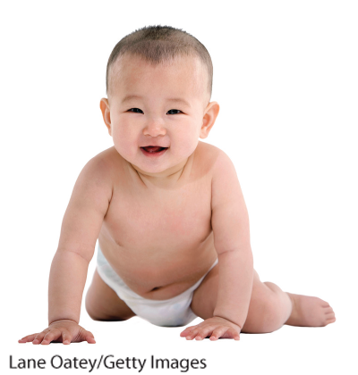 Photograph of a baby crawling. The baby is only wearing diapers. He has short black hair and is smiling at the camera.