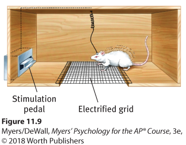 An illustration shows a rat on an electrified grid with an electrode connected to its hypothalamus. A stimulation pedal is on the other side of the Electrified grid.