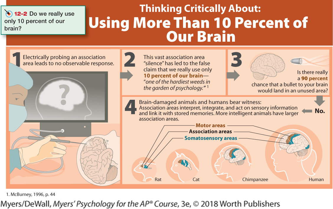 An infographic titled “Thinking Critically About: Using More than 10 Percent of Our Brain” is shown.