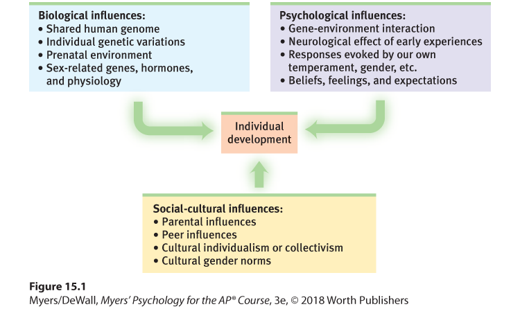 Flow chart illustrating the biopsychosocial approach to individual development.