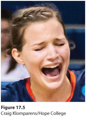 A photo shows a volleyball team huddled up together, overjoyed due to their win.